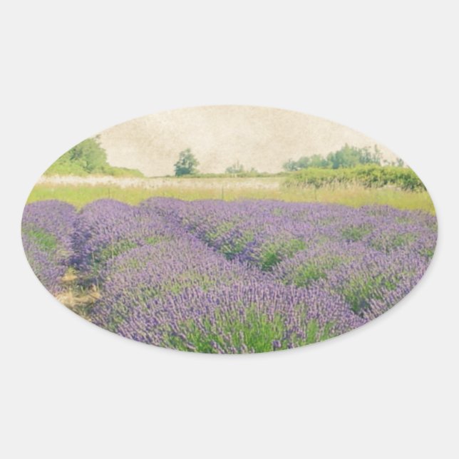 Lavender Farm - Distressed Oval Sticker (Front)