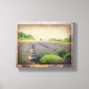 Lavender Farm - Distressed  Wrapped Canvas