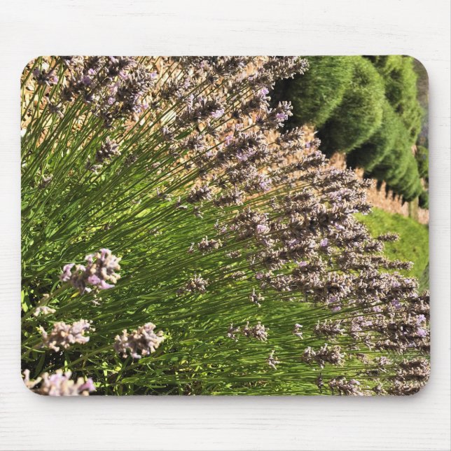 Lavender Farm Mouse Pad (Front)
