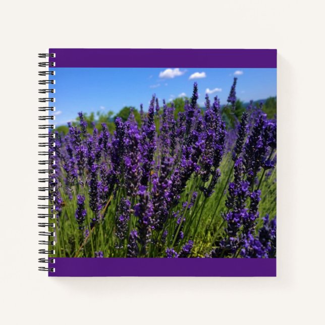 Lavender Farm Notebook (Front)