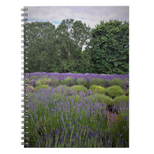 Lavender Farm Notebook