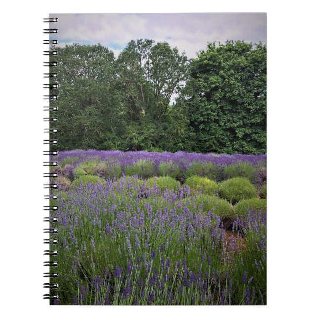 Lavender Farm Notebook (Front)