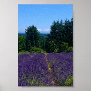 Lavender Farm Poster