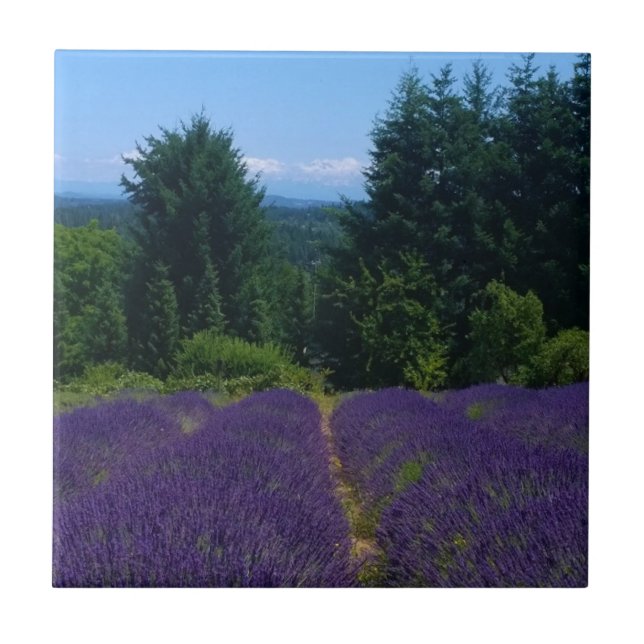 Lavender Farm Tile (Front)