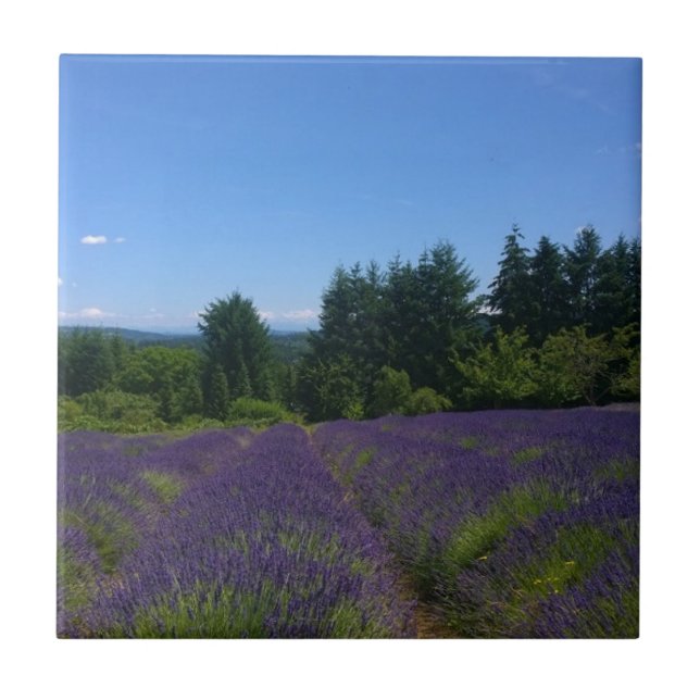 Lavender Farm Tile (Front)