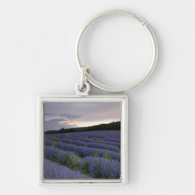 Lavender field at sunset key ring (Front)