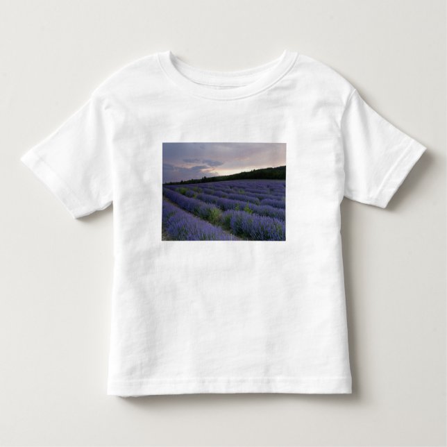 Lavender field at sunset toddler T-Shirt (Front)