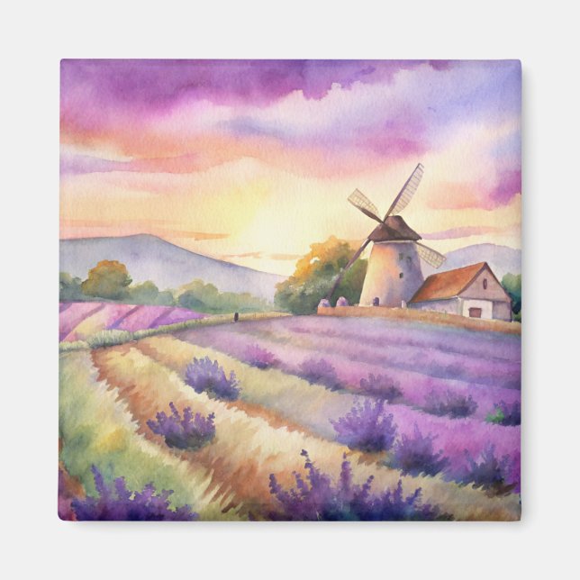 Lavender field in Provence.  Magnet (Front)