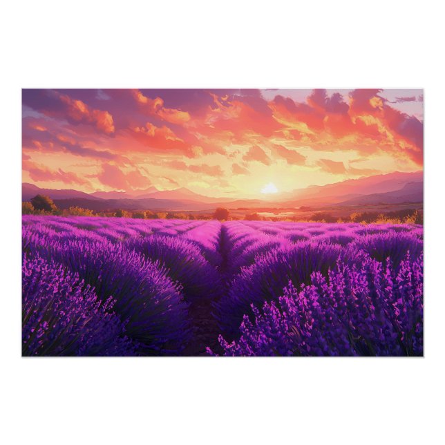 Lavender Field in Provence Poster (Front)
