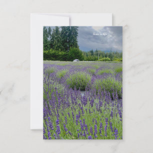 Lavender Field In the Countryside Card