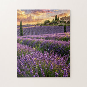 Lavender Field Jigsaw Puzzle