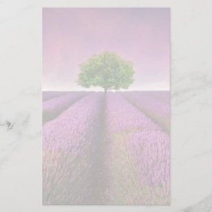 Lavender Field Landscape Summer Sunset Stationery