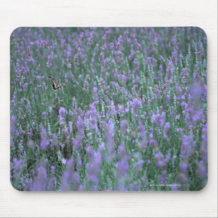 Lavender Field Mouse Pad