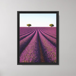 Lavender Field Path Symmetry Canvas Print