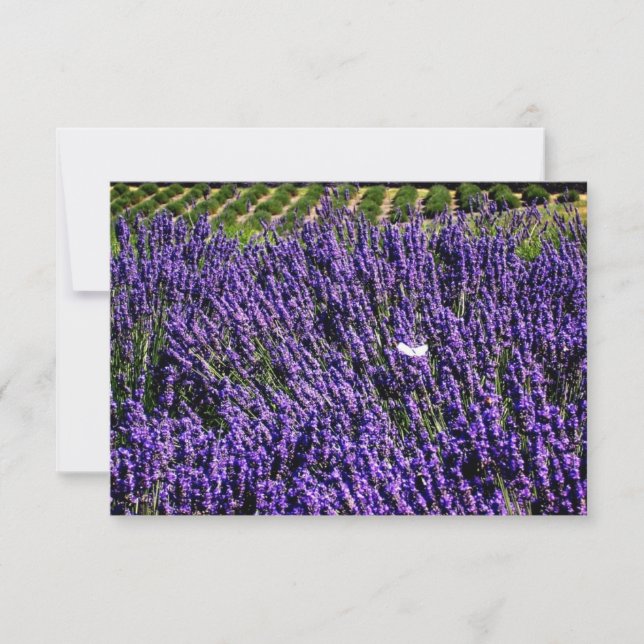 Lavender Field Personalised Blank Notecard (Front)