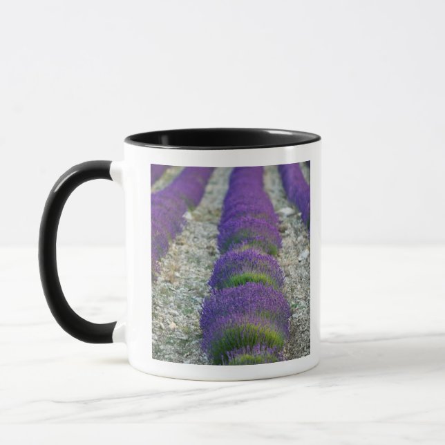 Lavender field, Provence, France Mug (Left)