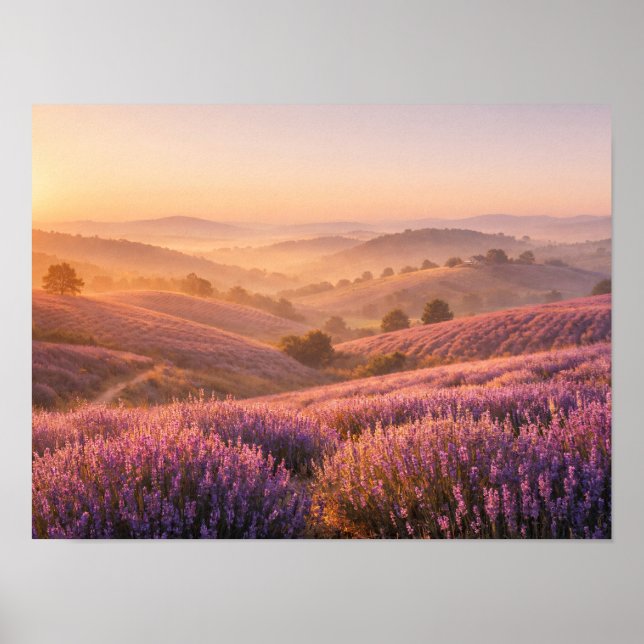 Lavender Field Sunrise Rolling Hills Landscape Poster (Front)