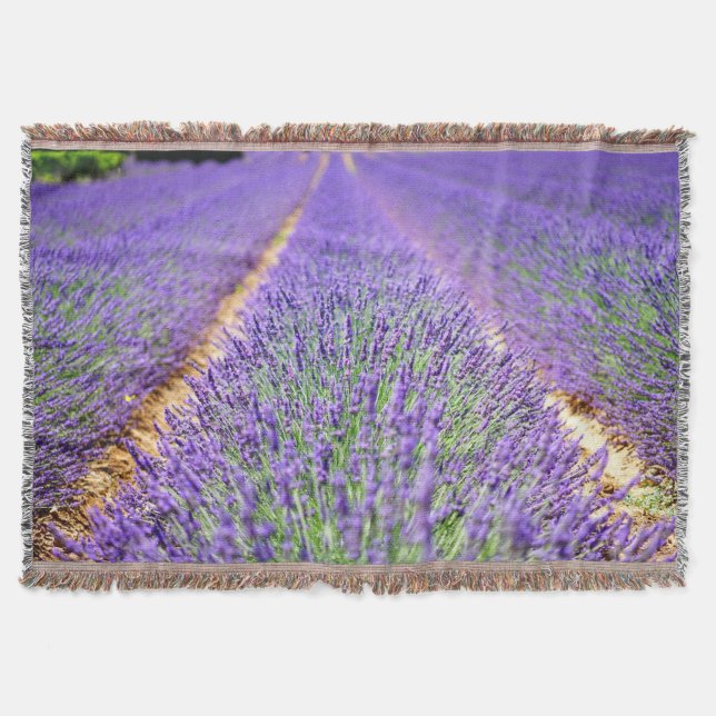 Lavender Field Throw Blanket (Front)