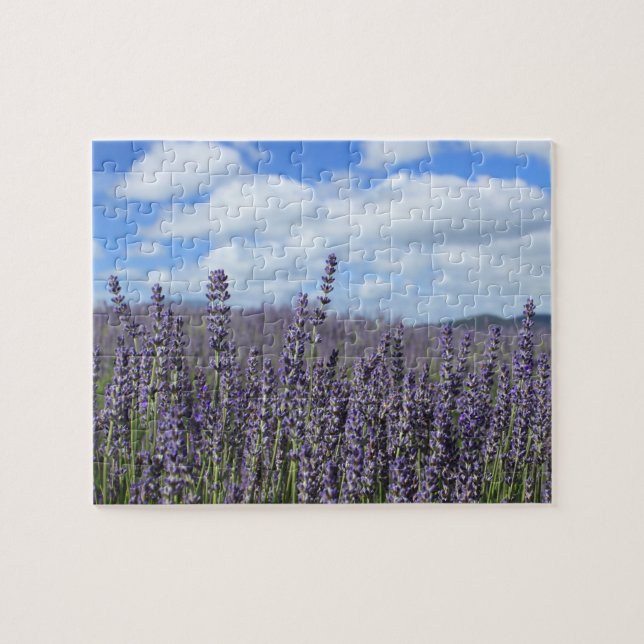 Lavender Field with Blue Sky and White Clouds Jigsaw Puzzle (Horizontal)