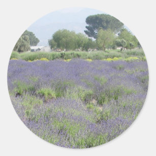 Lavender Fields Classic Round Sticker