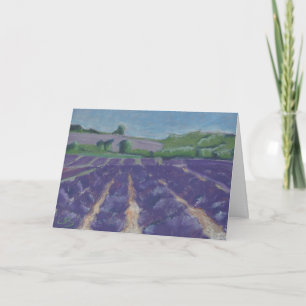 Lavender Fields in Provence - France - Card
