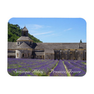 Lavender Fields of Senanque Abbey Magnet