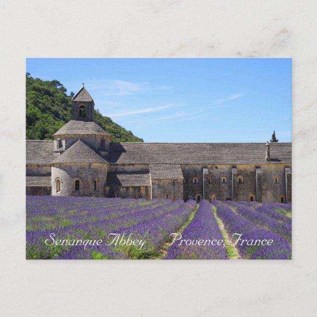 Lavender Fields of Senanque Abbey Postcard (Front)