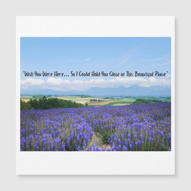 Lavender Fields Postcards (Front)