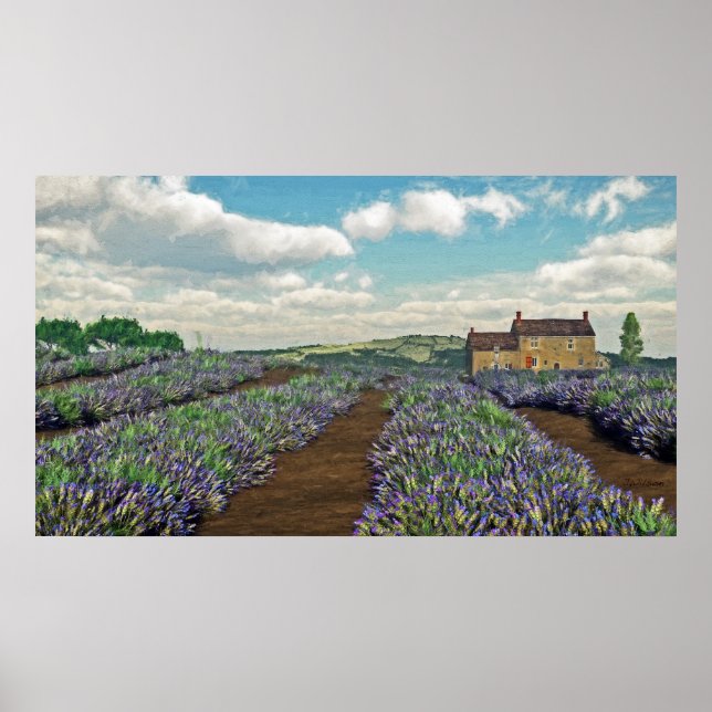 Lavender Fields Print (Front)