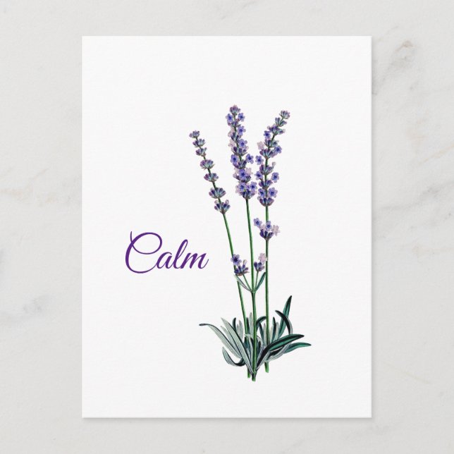 Lavender Flower Calm Inspirational Postcard (Front)