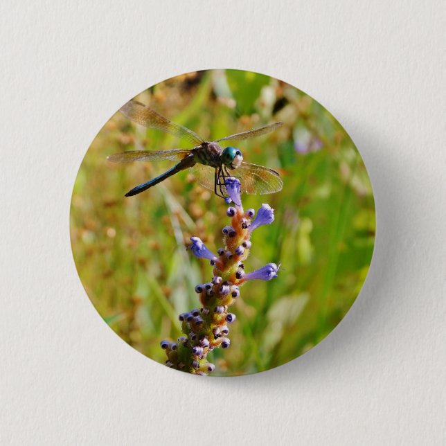 Lavender flower dragonfly 6 cm round badge (Front)