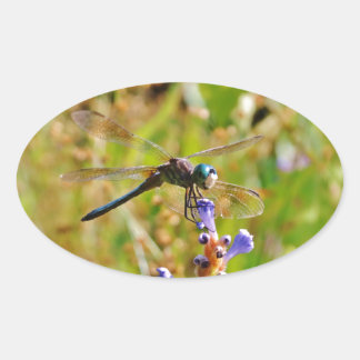 Lavender flower dragonfly oval sticker