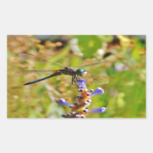 Lavender flower dragonfly rectangular sticker