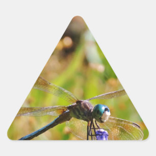 Lavender flower dragonfly triangle sticker