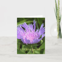 LAVENDER FLOWER WITH FRINGY PETALS/I'M FEELING FRA