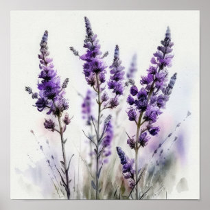 Lavender Flowers Art Print Poster