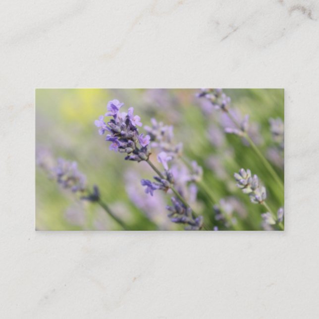 Lavender Flowers. Business Card (Front)