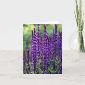 Lavender Flowers Card