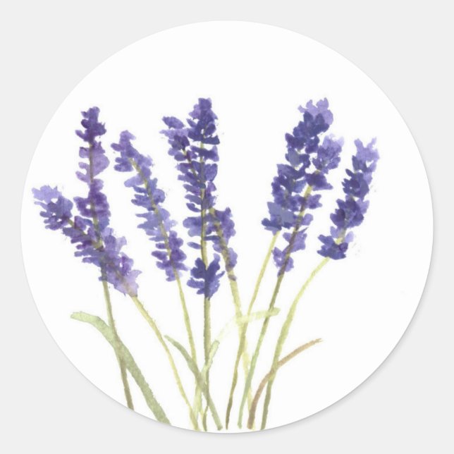 Lavender flowers french lavender watercolor nature classic round sticker (Front)