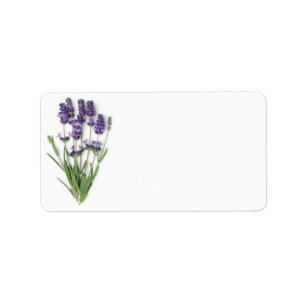 Lavender Flowers Isolated On White Background Label