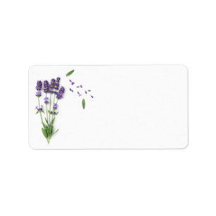 Lavender Flowers Isolated On White Background Label