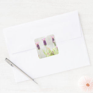 Lavender Flowers Square Sticker