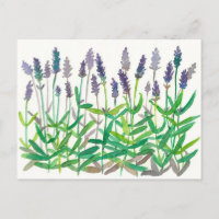 Lavender Flowers Watercolor Painting Herbal Art