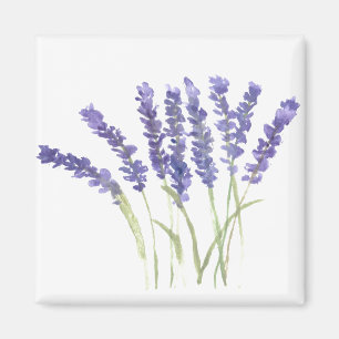 Lavender flowers watercolor rustic herbs magnet