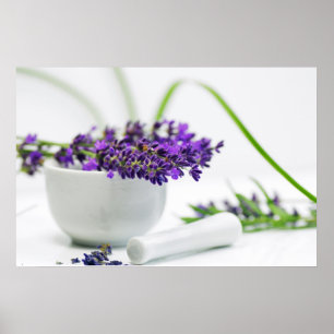 lavender fragrance poster