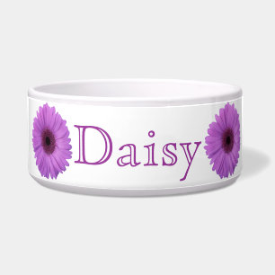 Lavender Gerbera Daisy