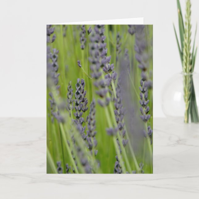 Lavender Greeting Card (Front)