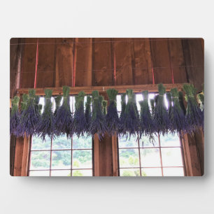 Lavender Hanging in a Barn Plaque