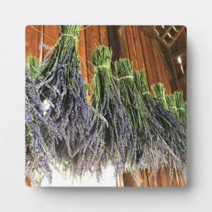 Lavender Hanging in a Barn Plaque
