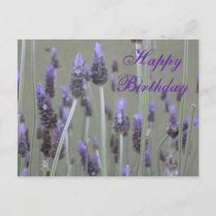 lavender  Happy Birthday Postcard
